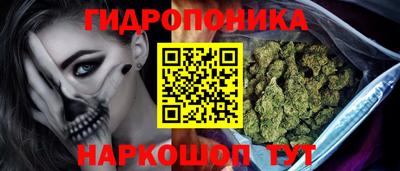 СК Краснознаменск