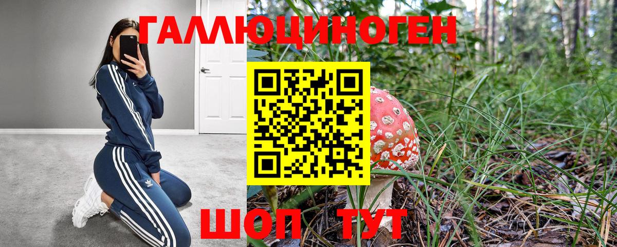 магазин продажи наркотиков  Вход с VPN  Клин  Галлюциногенные грибы Psilocybe 