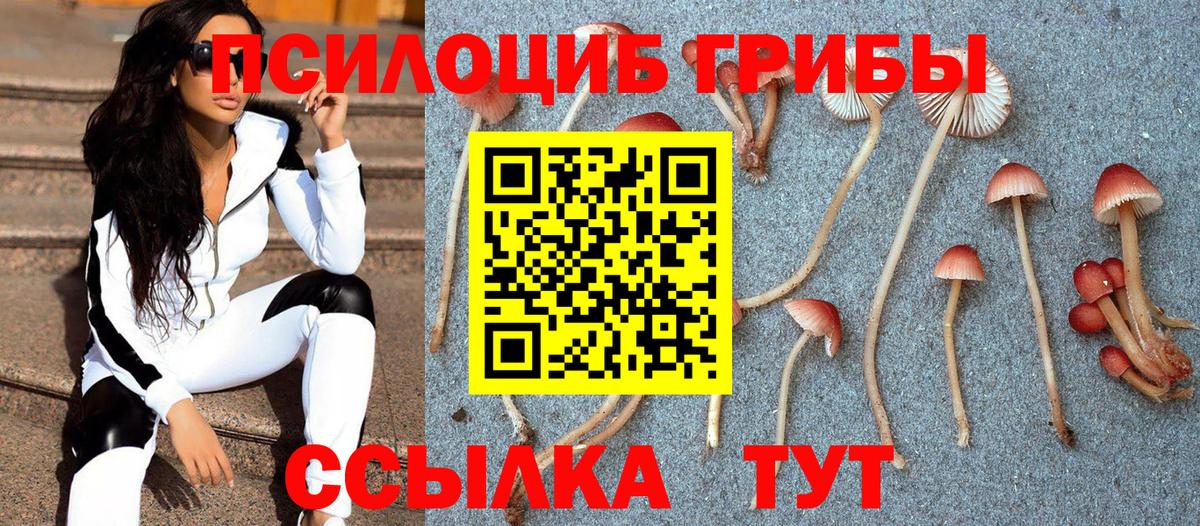 Галлюциногенные грибы GOLDEN TEACHER Клин