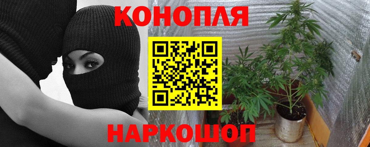 Бошки марихуана Amnesia  Вход с VPN  Каннабис сатива  Клин 